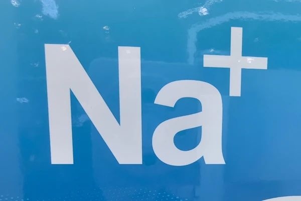 20億元!17條產線!莫鈉技術內蒙古鈉電池產業項目備案通過