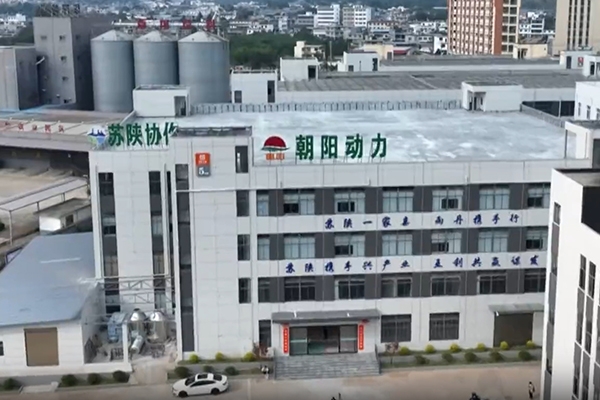 總投資3億元！陜西朝陽(yáng)動(dòng)力電池總裝基地更新動(dòng)態(tài)