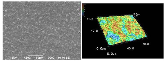 圖3.ECC表面形態 