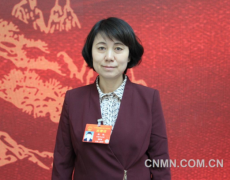 楊艷：進(jìn)一步加大對(duì)鎳鈷資源綜合利用的支持力度