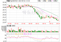 第七次掛牌!底價2.74億!西藏礦業再打折甩賣鋰業公司
