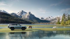 比亞迪連續(xù)11年取得中國新能源汽車銷冠 全球累計申請專利超4.8萬項(xiàng)