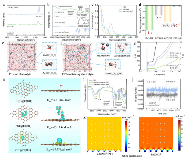 酒石酸鉀鈉對(duì)電解液離子結(jié)構(gòu)以及電極界面的調(diào)控機(jī)制