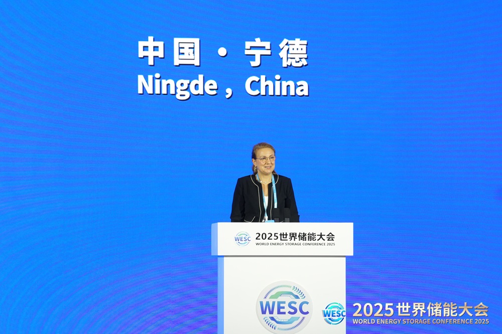 國際可再生能源署發(fā)布全球首份儲(chǔ)能專題報(bào)告完整版 寧德時(shí)代深度參與 國際可再生能源署發(fā)布全球首份儲(chǔ)能專題報(bào)告完整版 寧德時(shí)代深度參與