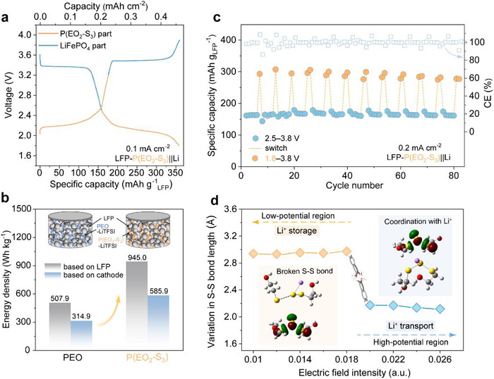圖2. 一體化聚合物的電化學性能及電位依賴的離子傳輸-儲存機制