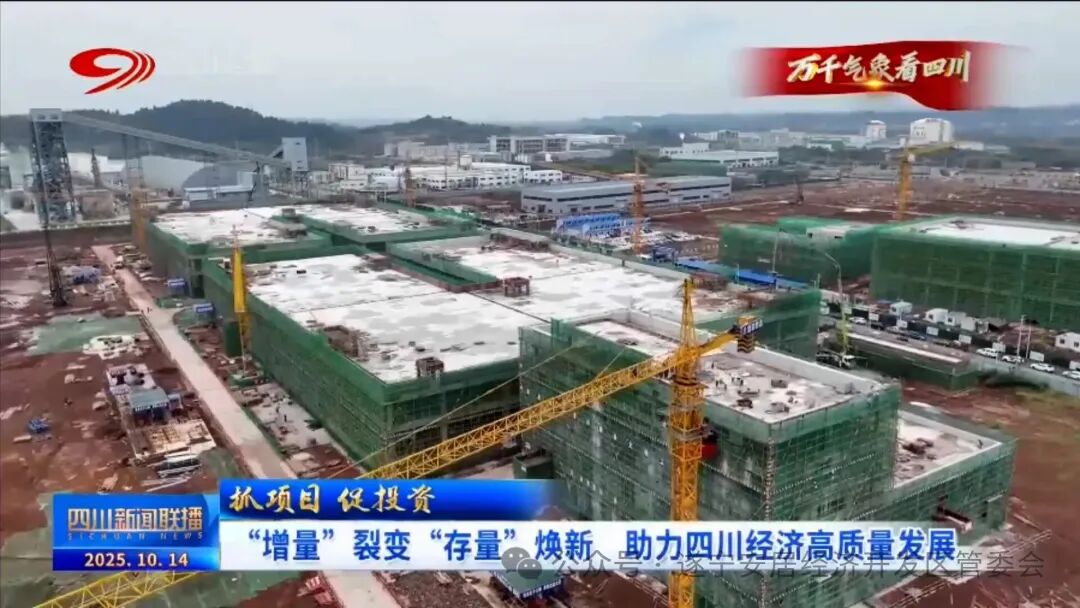 60億元！四川遂寧一鋰電池生產項目將于今年年底投產
