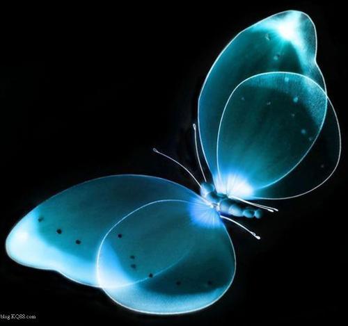 “蝴蝶效應(yīng)”顯現(xiàn)：特斯拉風(fēng)暴引發(fā)投資連環(huán)效應(yīng)