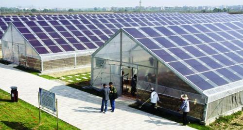 光伏行業：政策去產能PK“雙反”魔咒？