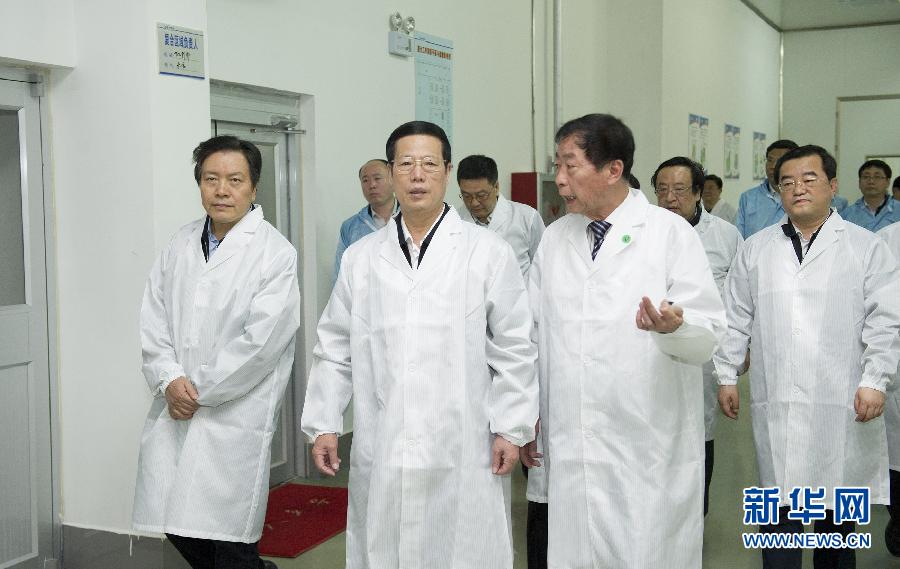 張高麗在河北調研經濟運行情況 考察滄州明珠隔膜線