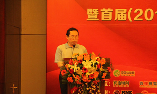 中國化學與物理電源行業協會秘書長劉彥龍