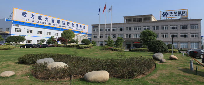 華友鈷業擬在上交所上市 保薦機構為中信證券