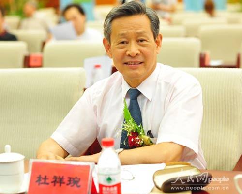 杜祥琬：新能源汽車的價值取決于電的“綠色化”