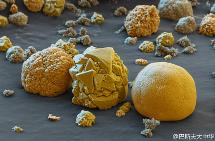 巴斯夫宣布商用磷酸鐵鋰正極材料在德國投產