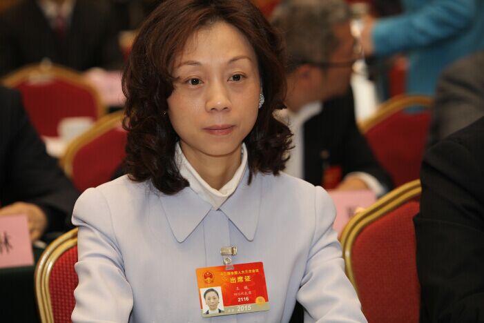 王麒:推行新能源汽車不限牌并減免過路費(fèi)等 王麒:推行新能源汽車不限牌并減免過路費(fèi)等