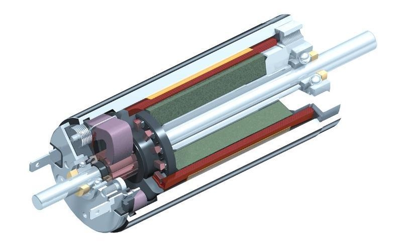 誰在看空稀土永磁電機(jī) 中國電動車死無葬身之地？