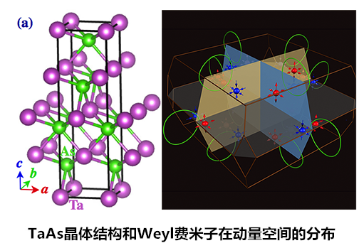 中國科學家發現外爾費米子 可用于手機電池
