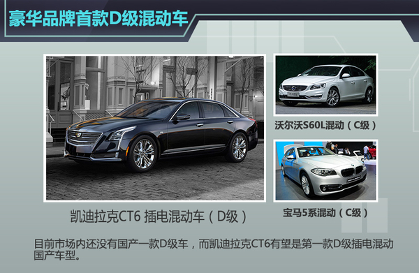 凱迪拉克大型新能源車將國產 專為中國打造？