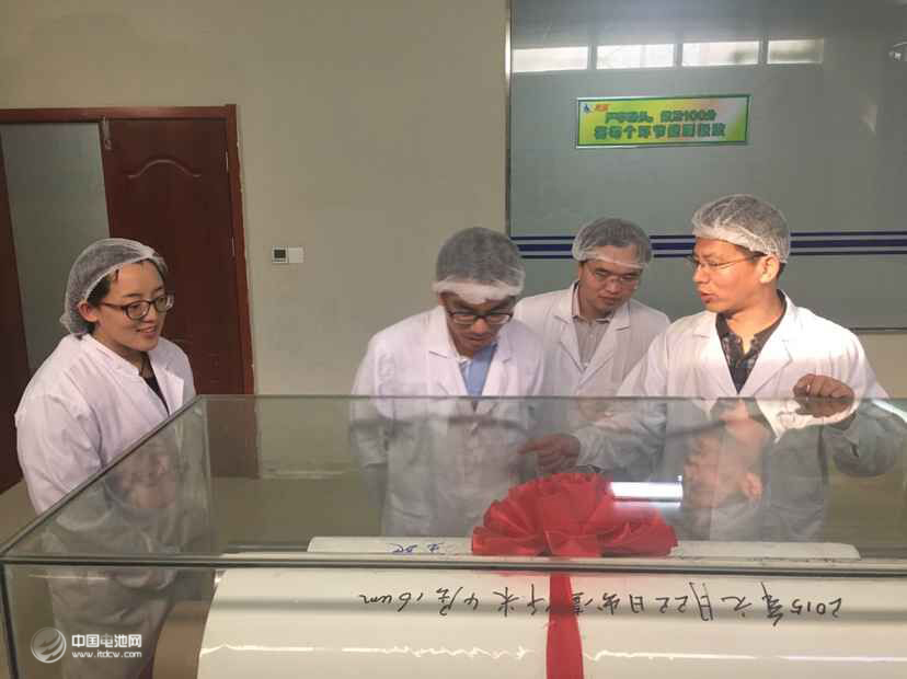 鋰電“達沃斯”組委會學(xué)術(shù)委員會一行調(diào)研惠強新能源 鋰電“達沃斯”組委會學(xué)術(shù)委員會一行調(diào)研惠強新能源