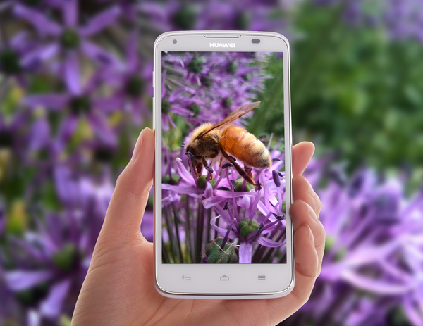 華為:2016下半年或商用石墨烯電池技術(shù) 華為:2016下半年或商用石墨烯電池技術(shù)