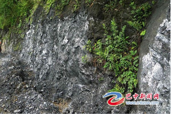 位于南江楊壩——坪河山脈帶的石墨資源 位于南江楊壩——坪河山脈帶的石墨資源