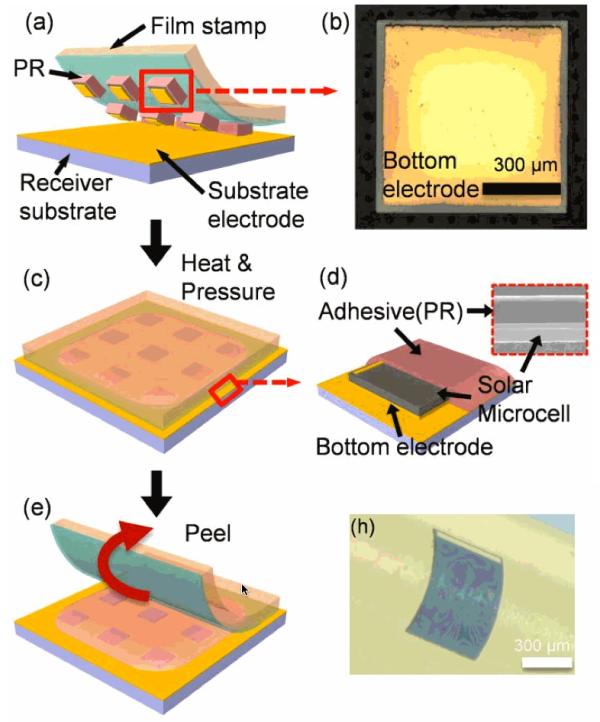超薄柔性砷化鎵太陽(yáng)能微電池的制作流程。