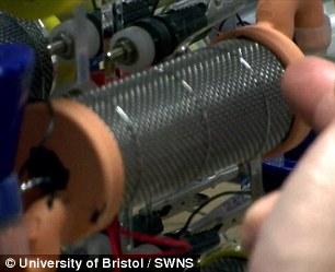 英發(fā)明“尿液電池” 半升尿液可為智能機充電3小時