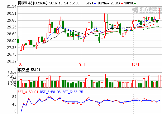 猛獅科技 猛獅科技