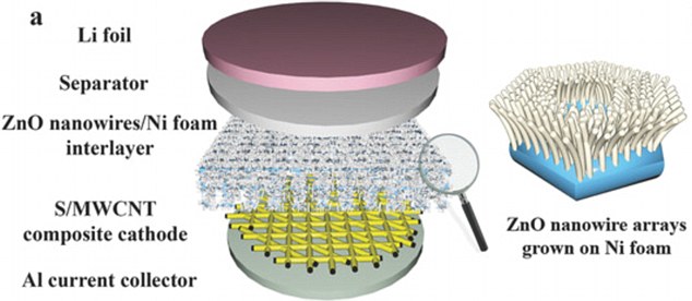 延長(zhǎng)使用壽命 人類(lèi)腸道構(gòu)造激發(fā)新電池解決方案