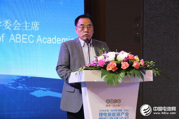 北京大學(xué)教授、鋰電“達(dá)沃斯”學(xué)委會主席 其魯