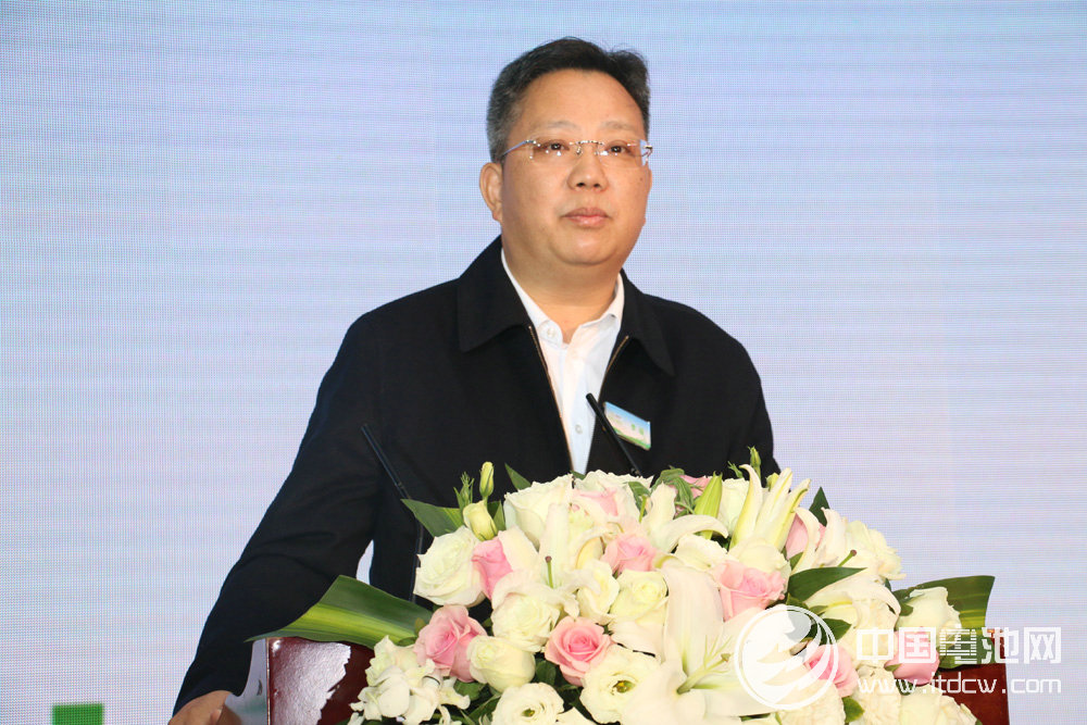 中國沃特瑪新能源汽車產業創新聯盟理事長李瑤 中國沃特瑪新能源汽車產業創新聯盟理事長李瑤