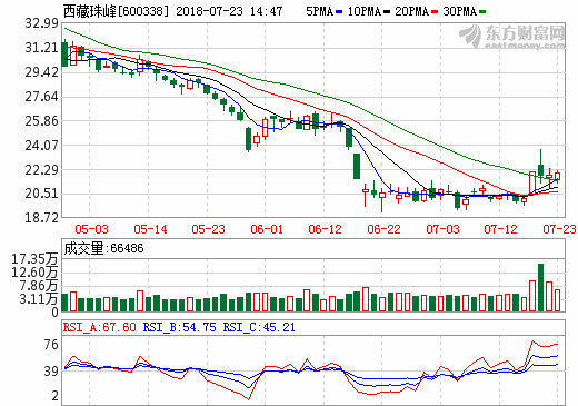 目光投向南美鋰鹽湖項目 西藏珠峰一路探尋全球產業“美景”