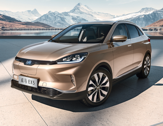 總投資166億元！威馬汽車年產15GWh動力電池項目開工