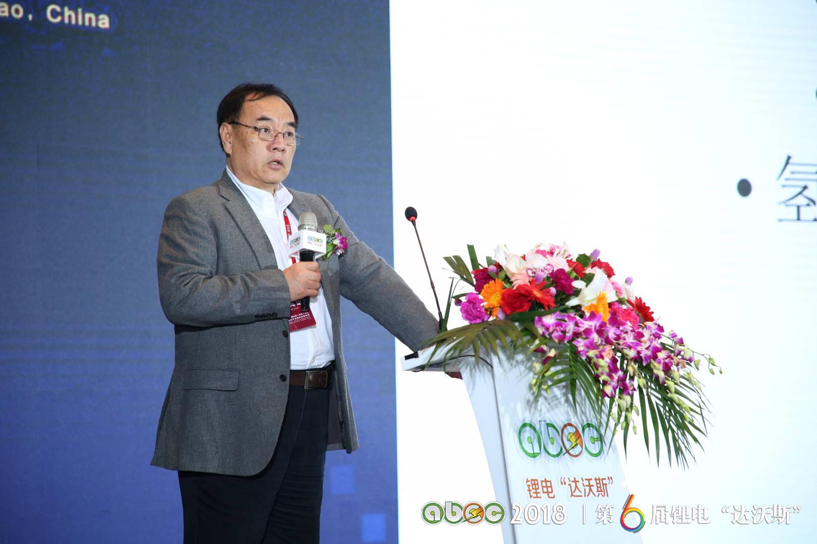 北京大學(xué)教授、鋰電“達(dá)沃斯”學(xué)術(shù)委員會(huì)主席其魯