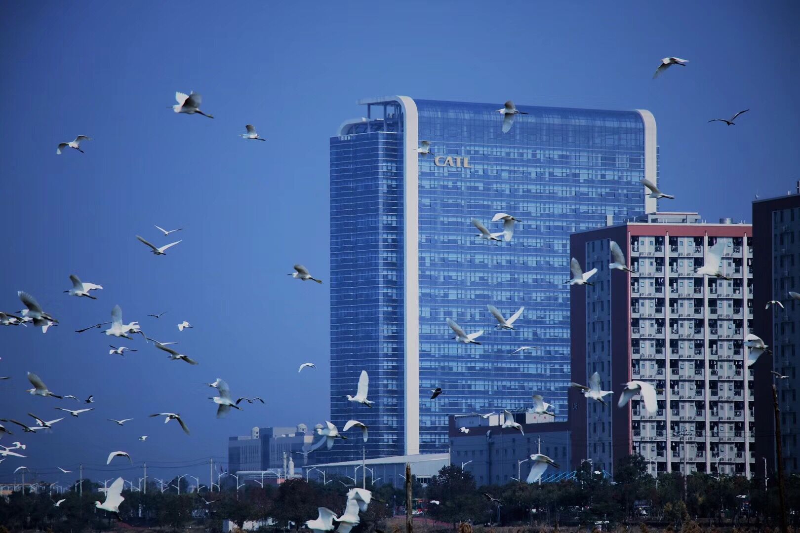 寧德時(shí)代2018年?duì)I收296.11億元 動力電池裝機(jī)量達(dá)23.5GWh