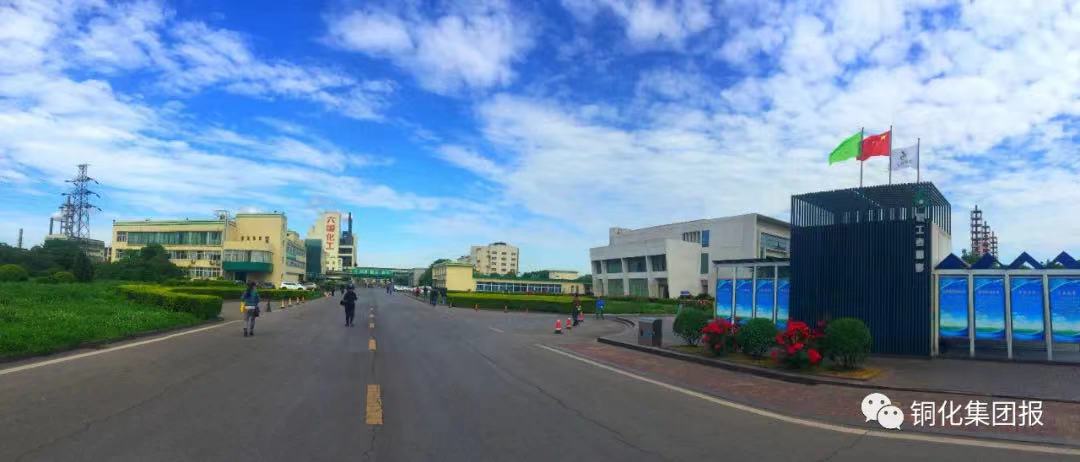 圖片來源：六國化工