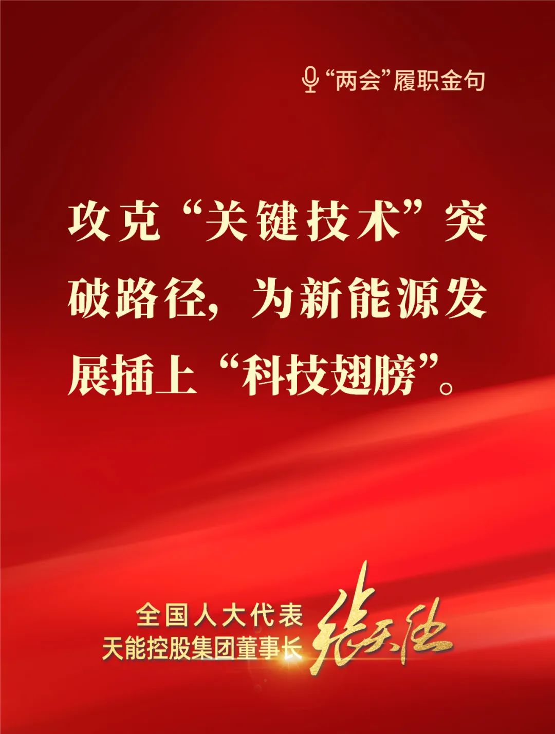 全國人大代表，天能控股集團董事長張?zhí)烊? style=