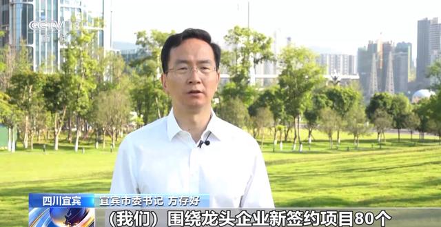 產業鏈爭先布局 出口爆發式增長！我國動力電池高質量“續航”