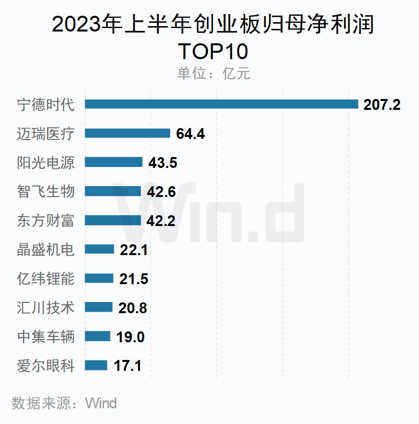2023年上半年創業板歸母凈利潤TOP10企業