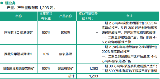 紫金礦業2023年上半年鋰業務開展情況
