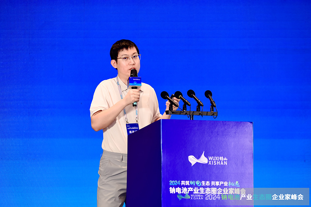 中科院謝飛：無定形碳負極可逆容量及首周可逆性提升策略分析