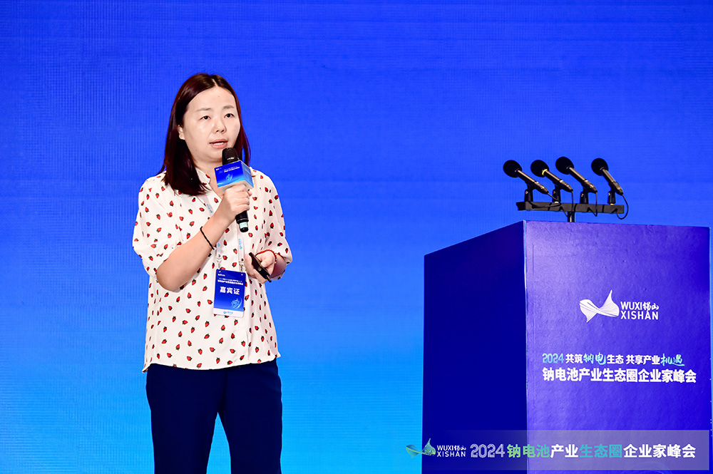 中興新材張輝：掌握鈉電池特定性能需求 構建定制化解決方案