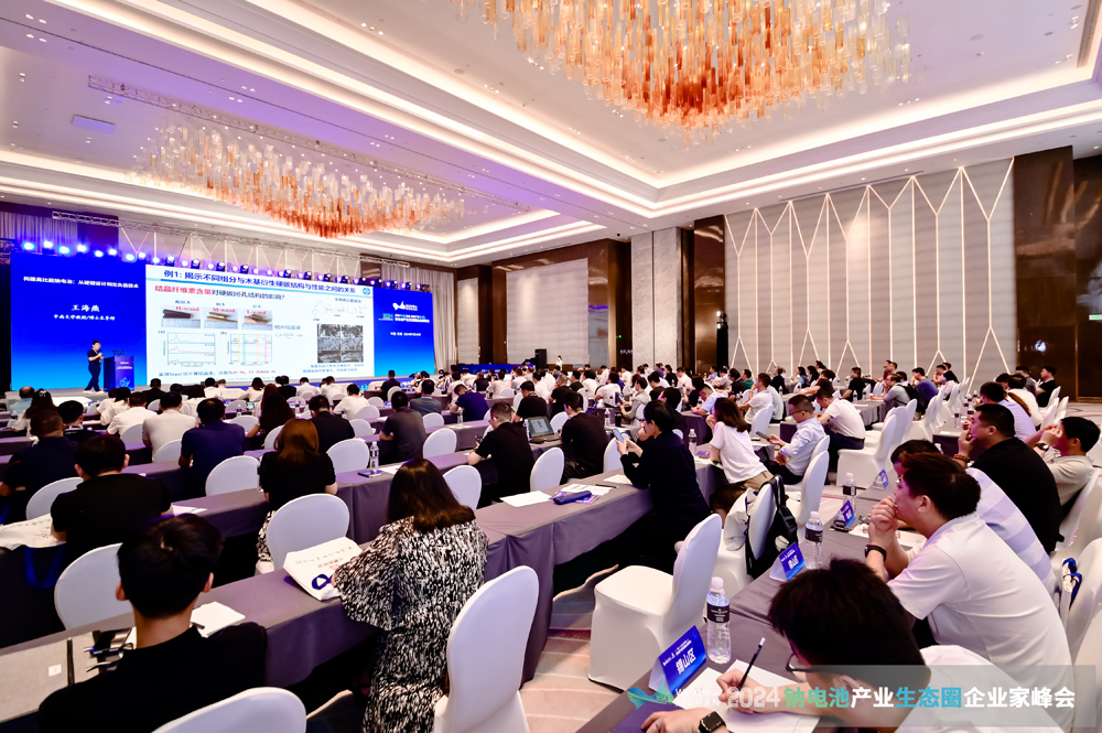 風口？風險？千億級鈉電池賽道如何突圍？