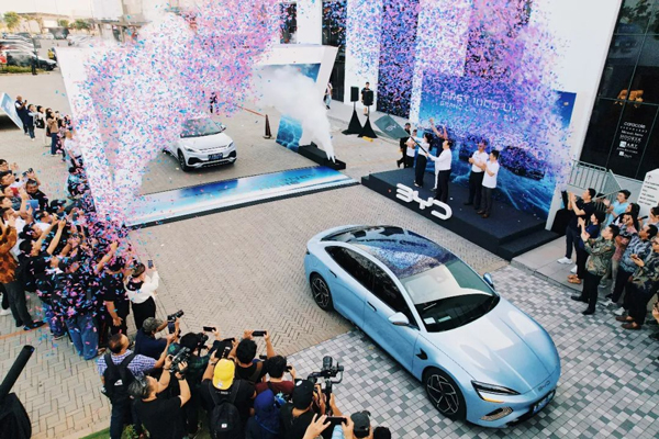 4628.6億元!同比增長20.7%!海關總署發布!