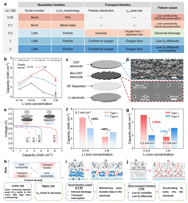 圖2 結論驗證與對電極設計啟發
