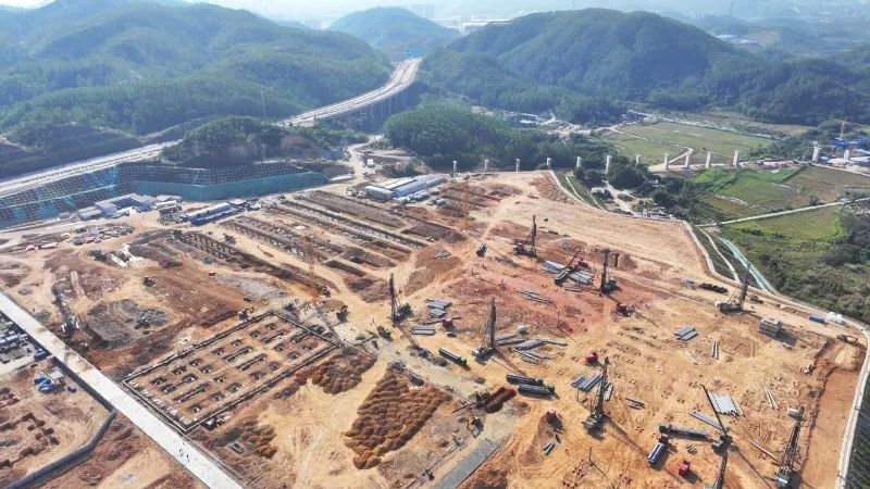 圖片來源:深汕特別合作區融媒體中心 圖片來源:深汕特別合作區融媒體中心