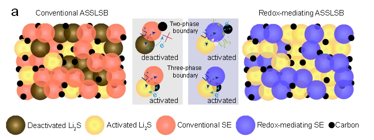 圖1. 傳統全固態鋰硫電池的問題及本研究的快速固固硫轉化反應機制