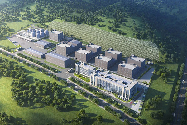 圖片來源:大亞灣發(fā)布 圖片來源:大亞灣發(fā)布