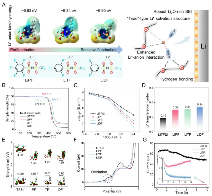 圖1 選擇性氟化鋰鹽的設計準則和聚合物電解質的基本性質
