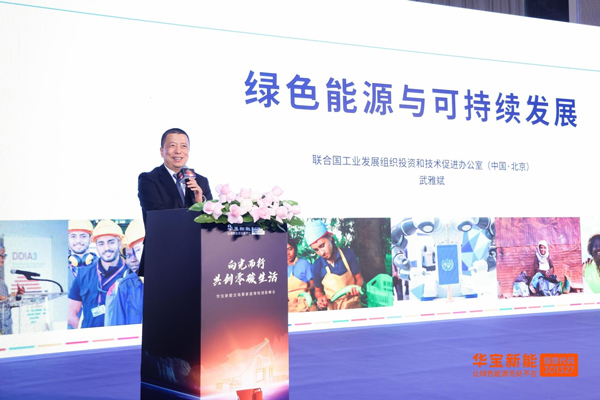 聯(lián)合國工業(yè)發(fā)展組織投資與技術(shù)促進(jìn)辦公室（中國·北京）主任武雅斌