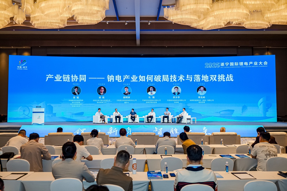 產業鏈協同,鈉電產業如何破局技術與落地雙挑戰?